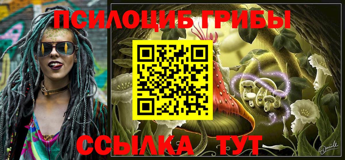 Галлюциногенные грибы Psilocybine cubensis  Вход с VPN  Галлюциногенные грибы мухоморы  купить   Артём 
